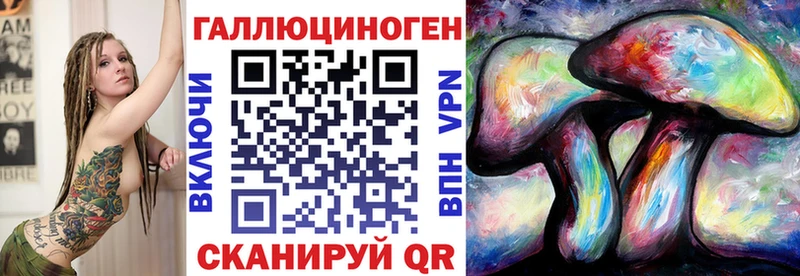 купить наркоту  Шадринск  hydra маркетплейс  Галлюциногенные грибы GOLDEN TEACHER 